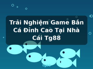 Trải Nghiệm Game Bắn Cá Đỉnh Cao Tại Nhà Cái Tg88 - tg88