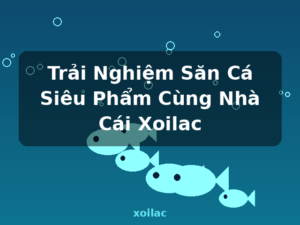 Trải Nghiệm Săn Cá Siêu Phẩm Cùng Nhà Cái Xoilac - xoilac